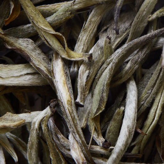 JUNNAN YIN ZHEN fehér tea - 50 g